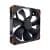 Fan (Back)